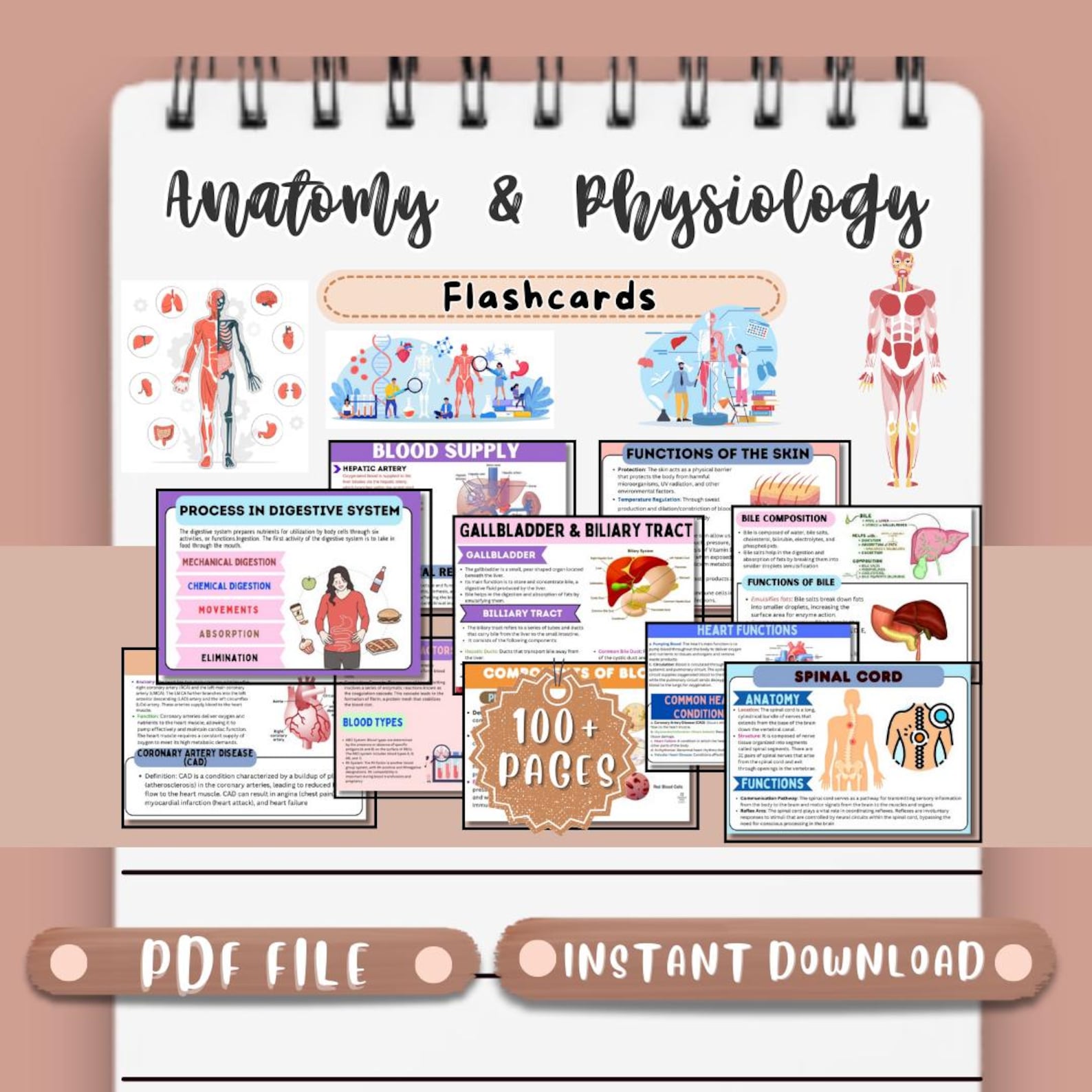 Anatomy and Physiology Flashcards Printable Medical Nursing Flashcards Nursing School Notes ...