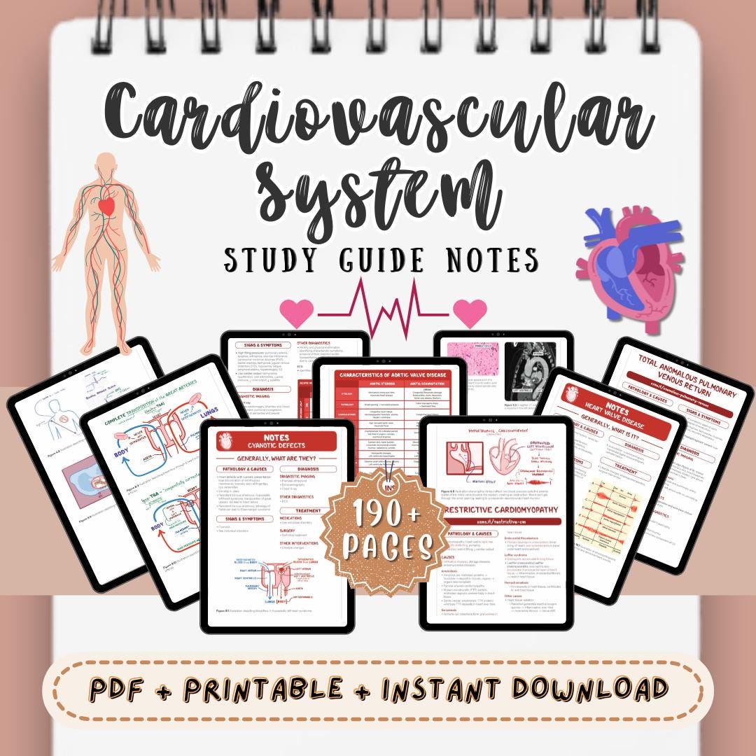 Cardiovascular System Nursing Notes: High-yield Study Guide Medical ...