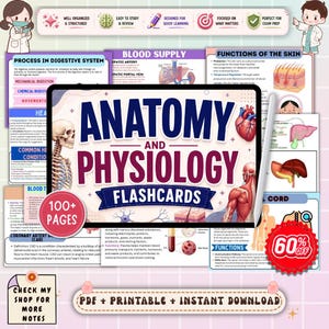 May include: A digital tablet displaying Anatomy and Physiology Flashcards with a white stylus. The screen features a human skeleton, heart, and muscle diagrams. Text includes 100+ Pages, PDF + Printable + Instant Download, and 60% Off.