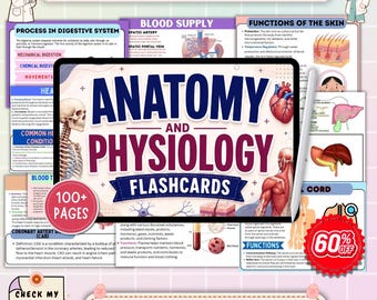 May include: A digital tablet displaying Anatomy and Physiology Flashcards with a white stylus. The screen features a human skeleton, heart, and muscle diagrams. Text includes 100+ Pages, PDF + Printable + Instant Download, and 60% Off.