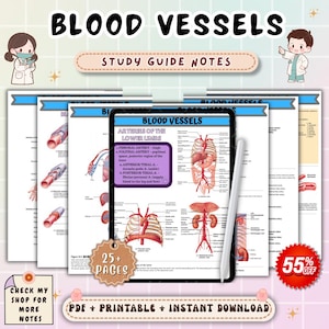 Blood Vessels Anatomy Study Notes | Cardiovascular System Nursing Guide | Anatomy & Physiology Review | NCLEX Nursing Cheat Sheet PDF