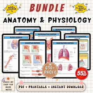 Anatomy and Physiology Study Notes Bundle | Nursing A&P Review Guide | NCLEX Prep Notes | Nursing School Printable PDF Bundle