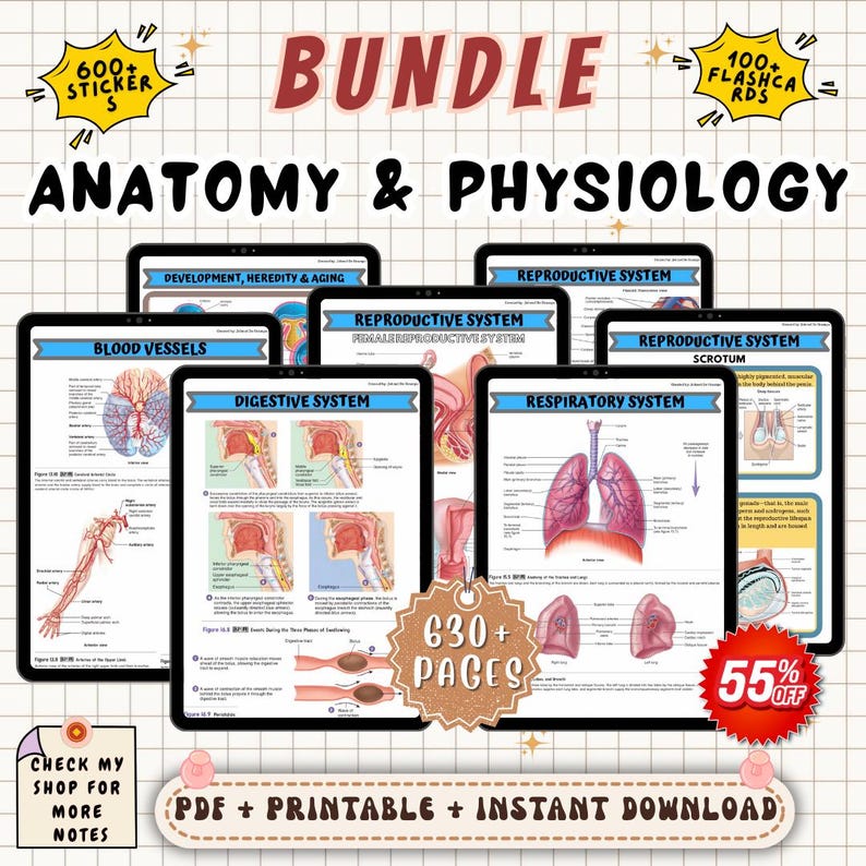 Anatomy and Physiology Study Notes Bundle | Nursing A&P Review Guide ...