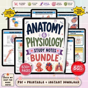 May include: Anatomy and Physiology study notes bundle displayed on a tablet screen with a stylus. The cover features the text Anatomy & Physiology Study Notes Bundle, illustrations of a human heart, lungs, and skull, and a 630+ pages badge.