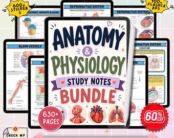 May include: Anatomy and Physiology study notes bundle displayed on a tablet screen with a stylus. The cover features the text Anatomy & Physiology Study Notes Bundle, illustrations of a human heart, lungs, and skull, and a 630+ pages badge.