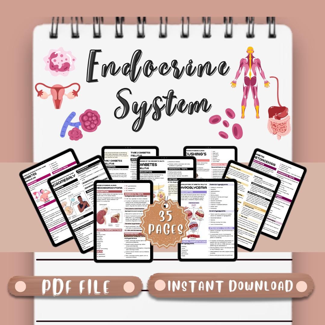 Endocrine System Study Guide Notes Etsy