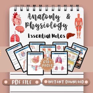Appunti di guida allo studio di anatomia e fisiologia Appunti di guida allo studio infermieristico Infermiere specializzato Elementi essenziali di infermieristica Guida allo studio NCLEX Appunti di studio