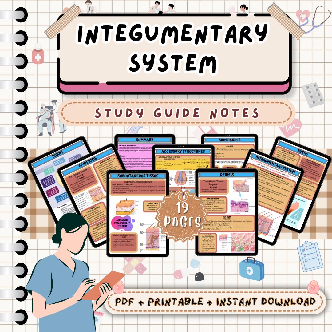 Integumentair systeem - Etsy België, image size:1080x1080