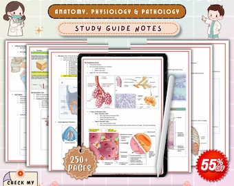 Respiratory System Nursing Notes | Lung Anatomy and Respiratory Disorders Guide | A&P Review | NCLEX Nursing PDF