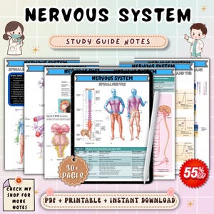 Nervous System Anatomy and Physiology Nursing Notes | Brain and Nerve Study Guide | A&P Neuro Review | NCLEX Nursing PDF