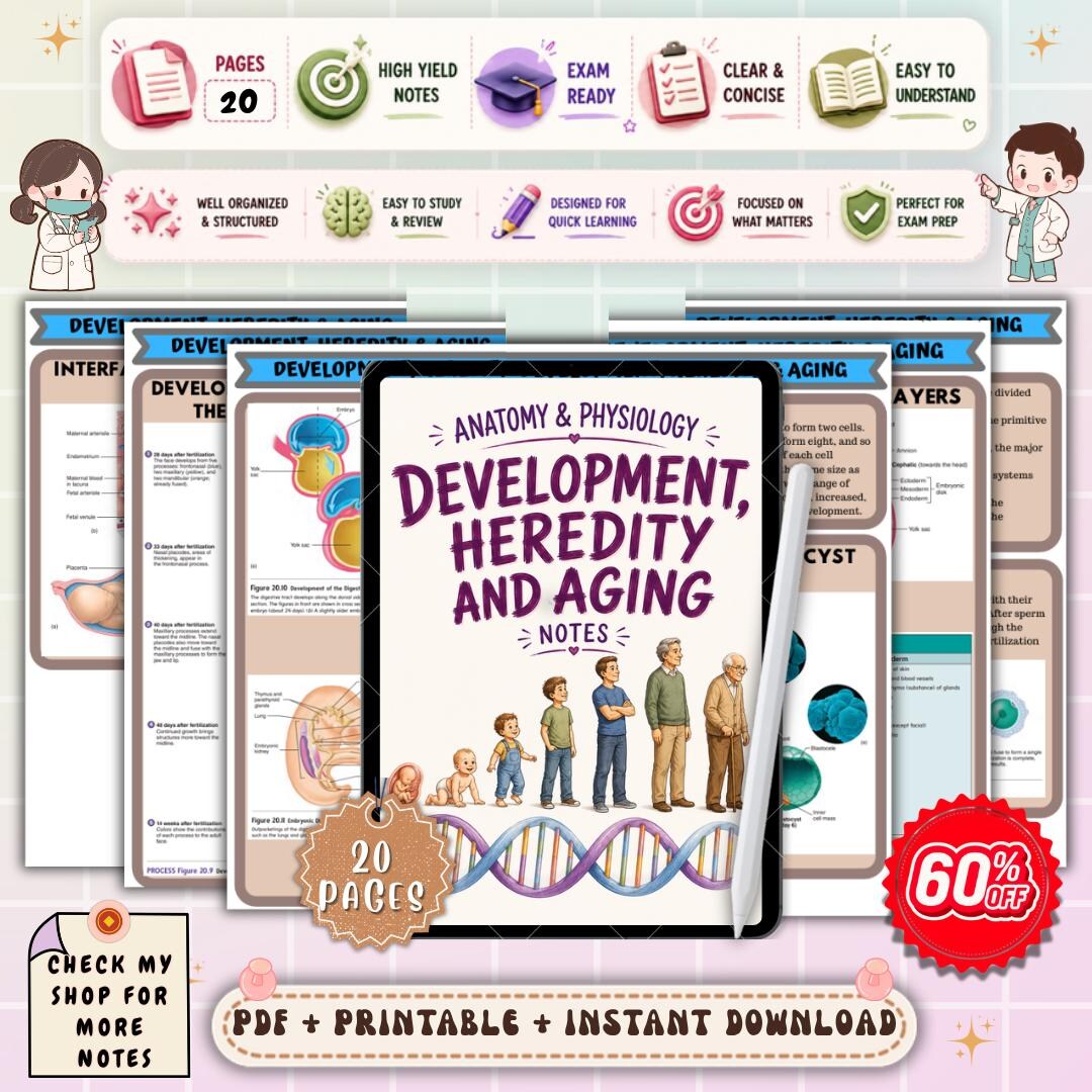 Development, Heredity and Aging Notes | Human Development A&P Study ...