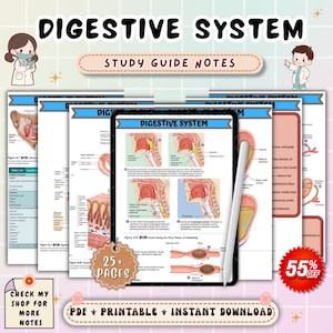 Apuntes de anatomía y fisiología del sistema digestivo / Guía de estudio del sistema gastrointestinal / Repaso de enfermería anatómica y fisiológica / Examen NCLEX de enfermería (PDF)