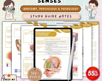 Nervous System and Special Senses Nursing Notes | Anatomy, Physiology & Pathology Study Guide | NCLEX Neuro Review PDF