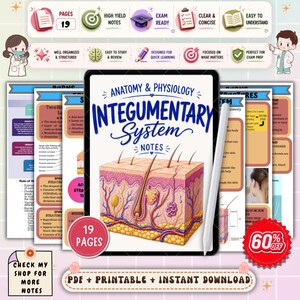 Apuntes de anatomía y fisiología del sistema tegumentario / Guía de estudio sobre la estructura de la piel / Repaso de enfermería A&P / Examen NCLEX de enfermería (PDF)