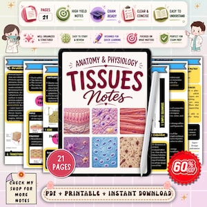 Tissues Anatomy and Physiology Nursing Notes | Human Tissue Types Study Guide | A&P Nursing Review | NCLEX Nursing PDF