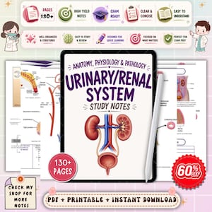 Urinary and Renal System Nursing Notes | Anatomy, Physiology & Pathology Study Guide | NCLEX Nursing PDF