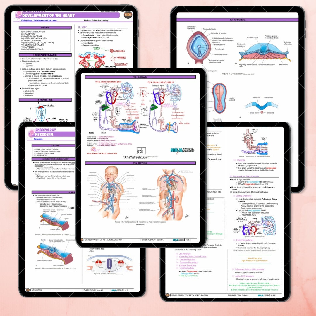 Medical Study Guide Embryology Notes Study Guide Notes Digital Medical Study Guide ...