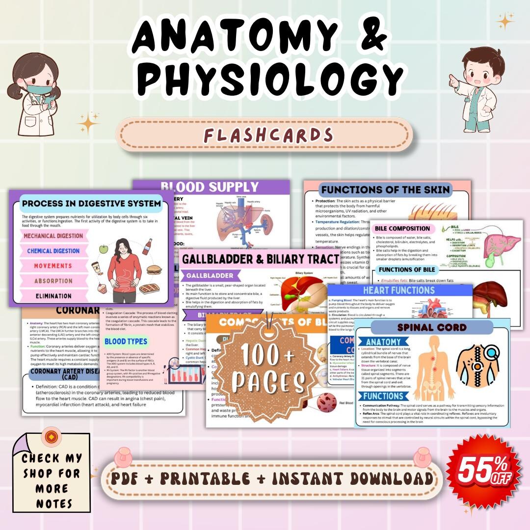 Anatomy and Physiology Flashcards | A&P Study Cards for Nursing ...
