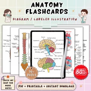 May include: Anatomy flashcards with diagrams and labeled illustrations. The image shows a tablet with brain and spinal cord diagrams, along with other anatomical charts. Includes the text "90+ pages" and "PDF + Printable + Instant Download".