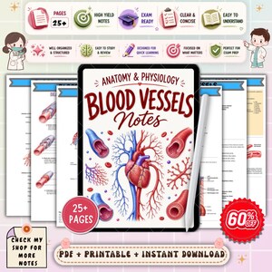 Blood Vessels Anatomy Study Notes | Cardiovascular System Nursing Guide | Anatomy & Physiology Review | NCLEX Nursing Cheat Sheet PDF