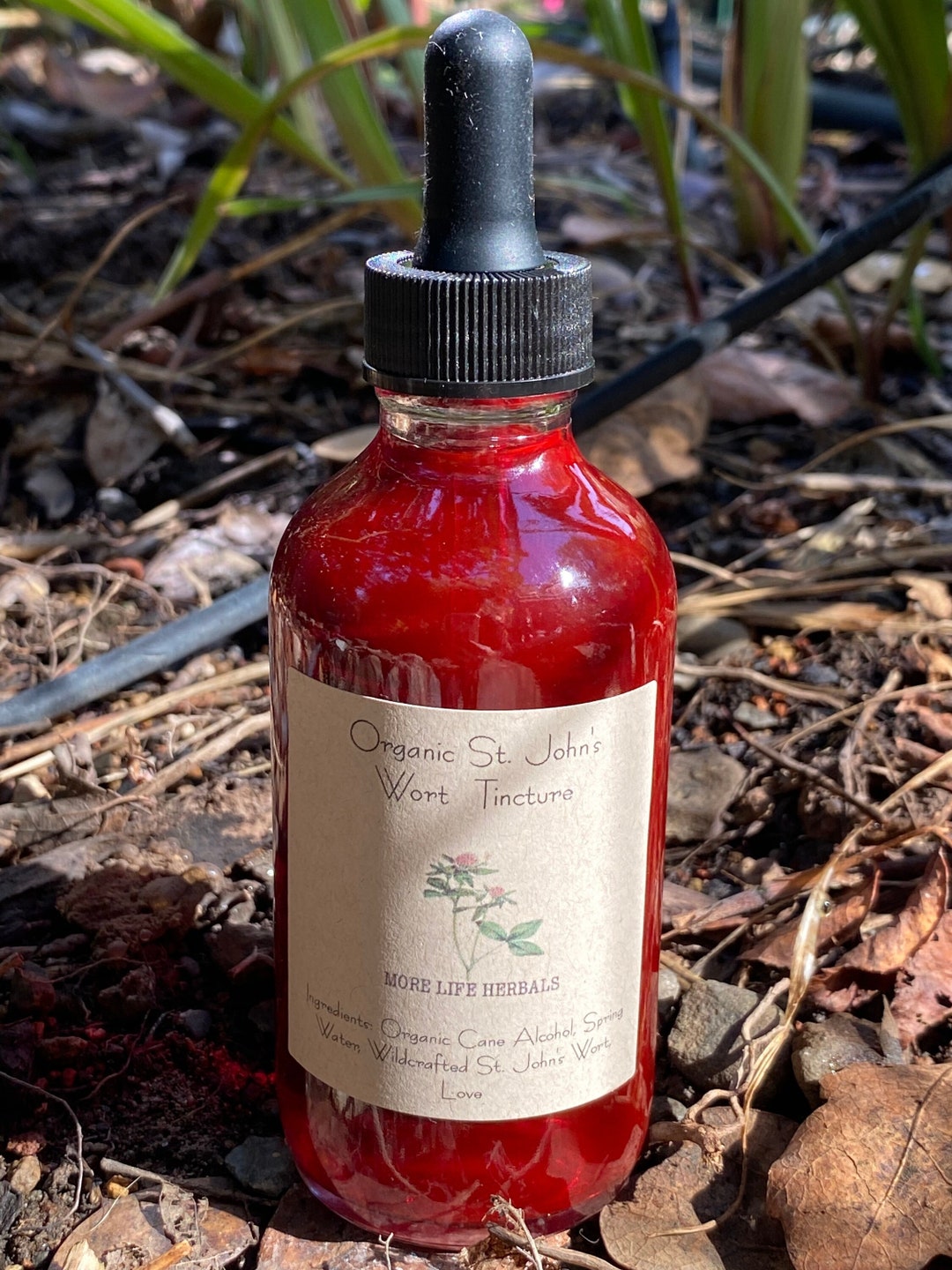 ORGANIC GLUTEN FREE St. John's Wort Tincture Wildcrafted From Our