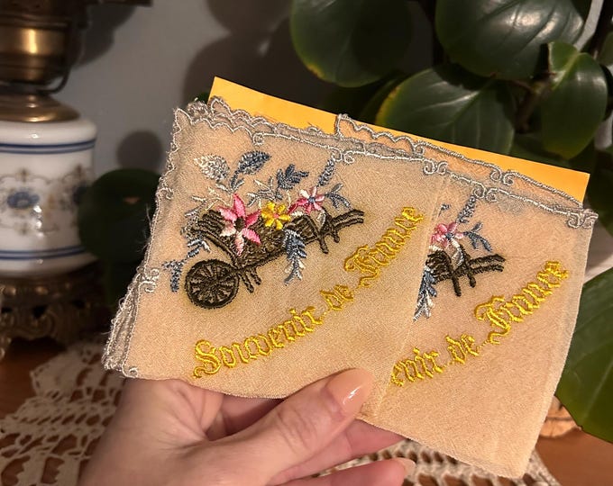 WWI Era Souvenir de France Hankies Pair 2 Embroidered Floral Cart French 1910s