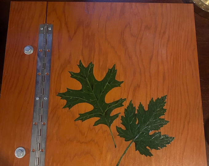 Vintage Herbarium Pressed Leaf Collection Book 60+ Specimens Handmade School