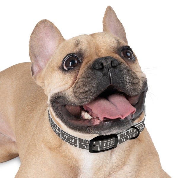 Walk & Talk Real Agent Dog Collar (see matching leash)