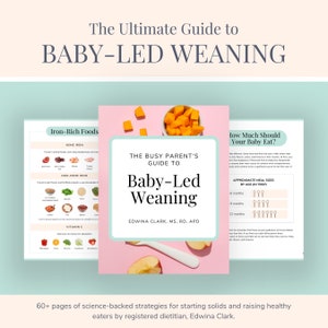 The Busy Parent&#39;s Guide to Baby-Led Weaning E-Book