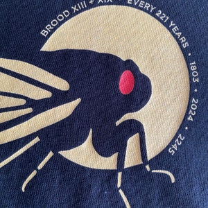 Cicada T-Shirt Historic Brood XIII + XIX - Available in Black, Dark Brown, Dark Heather, and Navy