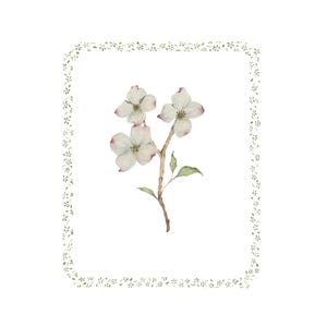 Dogwood Print