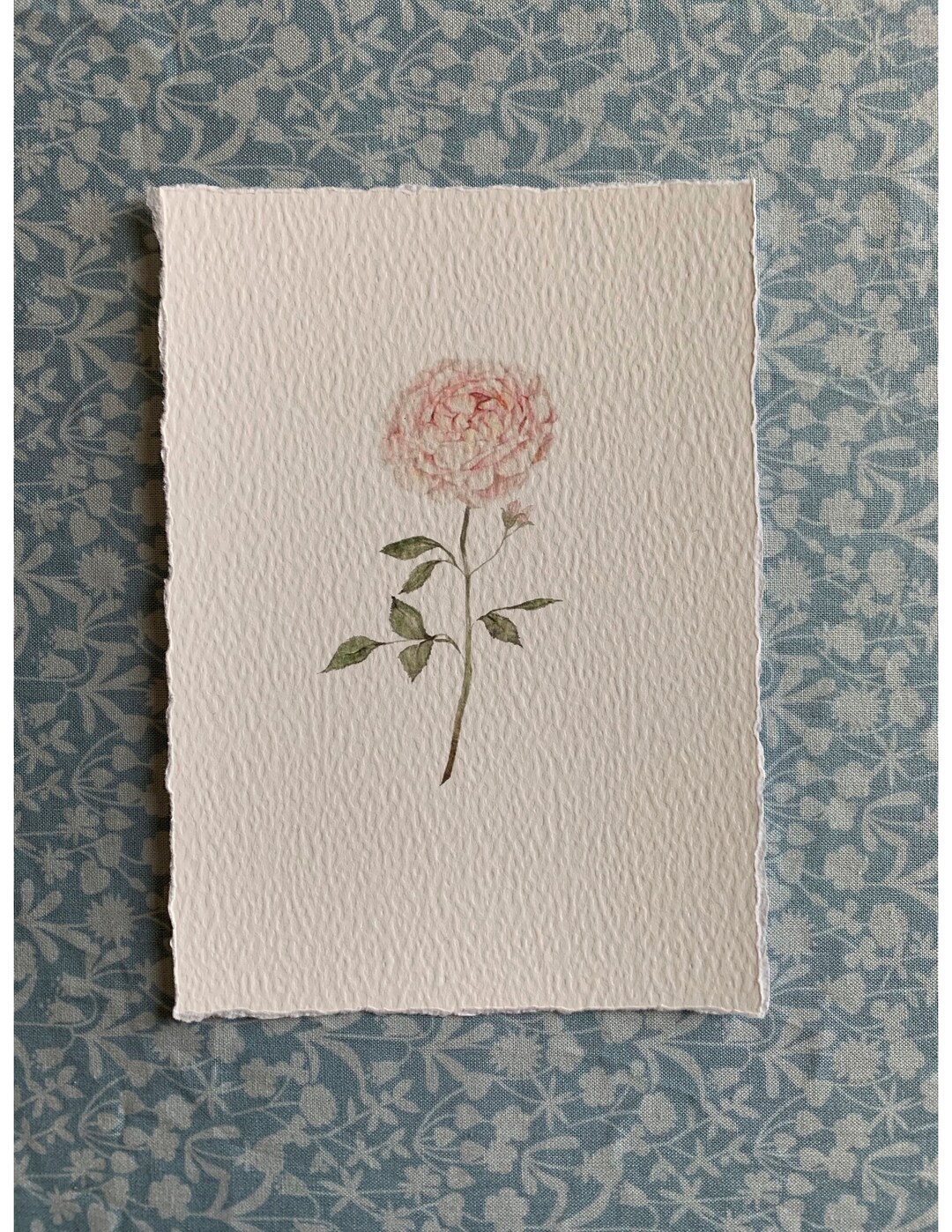 Aw Print Roses Garden Rose Print, Watercolor Print, Watercolor Flower, Pink Flower ...