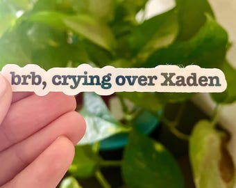 BRB, Crying Over Xaden Holographic Waterproof sticker | Fourth Wing Iron Flame | Booktok