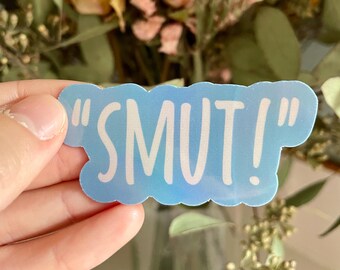Spicy Book & T Swift Inspired Sticker: Water Resistant Vinyl