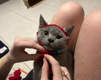 Cat Hat - CrochetBandits