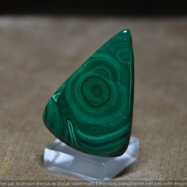 Malachite from Congo, cabochon, 4.2 cm.