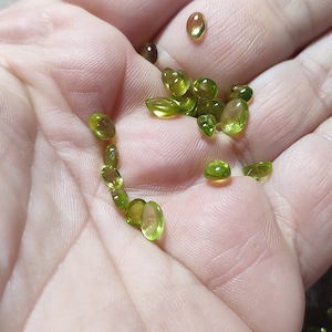 Paire de Péridots du Pakistan 1.97 Carats