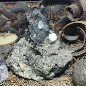 May include: A mineral specimen featuring a cluster of translucent, dark gray cubic crystals perched atop a rough, light gray matrix rock. The crystalline structure displays sharp edges and reflective surfaces, contrasting with the textured, granular base.