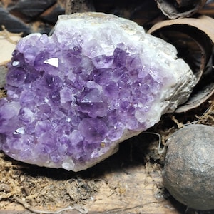 Peut inclure: Un grand géode d'améthyste brute, avec des cristaux violets profonds. La géode est entourée d'éléments naturels, dont une petite pierre ronde, de la mousse séchée et une tranche de bois, créant une esthétique rustique. Les cristaux d'améthyste scintillent.