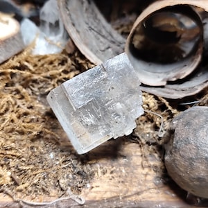 May include: A translucent, cubic crystal with internal patterns, set on dried moss. A curled piece of bark and a small, dark, round stone are also visible. The lighting accentuates the crystal's facets and clarity, creating a natural display.