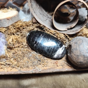 Peut inclure: Une pierre noire ovale polie avec des veines blanches, posée sur de la mousse séchée. La pierre reflète la lumière. D'autres éléments incluent une tranche de bois claire, un amas de cristaux violets et une petite pierre grise ronde. La scène est naturaliste.