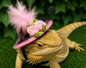 Day at the Races for Small Pet / Bearded Dragon / Lizard