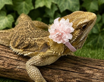 Flower Headband for Small Pet / Bearded Dragon / Lizard