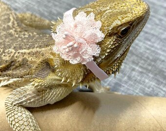Flower Headband for Small Pet / Bearded Dragon / Lizard
