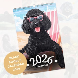 May include: A 2026 calendar featuring a black doodle dog wearing pink sunglasses, relaxing in a beach chair. The calendar has a spiral binding and a round sticker that says "Black Doodle Calendar 2026."