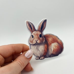 Cute Rabbit sticker - Bunny - Bunny parents- Sticker - Vinyl - Waterproof - High quality