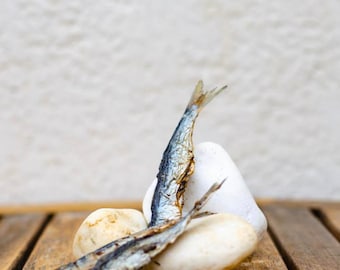 Sardine per cani e gatti, snack naturali disidratati, sacchetto regalo, snack di pesce per cani e gatti fatti in casa, naturali per animali domestici, pesce essiccato