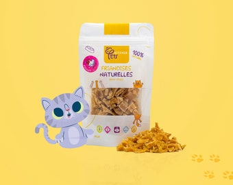 Sachet de friandises naturelles déshydratées avec flocons de poulet pour chat, mini-filet de poulet fait maison pour animaux de compagnie, adapté aux chats de tout âge