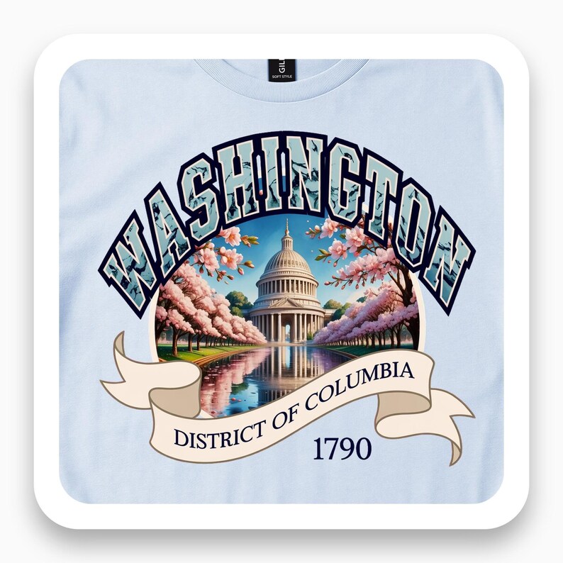 Washington Est. 1790 Shirt, DC Monument Tee, Capital City Gift, Neoclassical Architecture T-Shirt