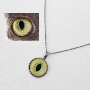 Cat Eye Necklace Silver Evil Eye Necklace Animal With Chain Gift Stainless Steel Epoxy Necklace Jewelry